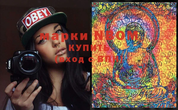 хмурый Осинники
