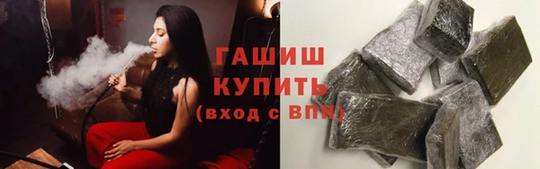хмурый Осинники