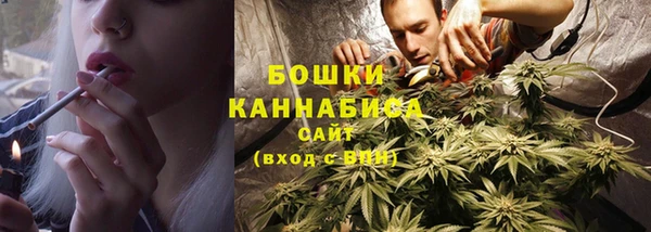 хмурый Осинники