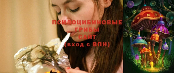 хмурый Осинники