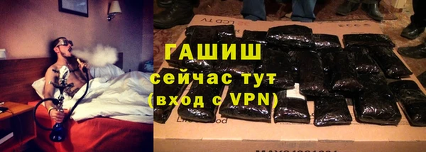 хмурый Осинники