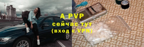 соль ск Осташков